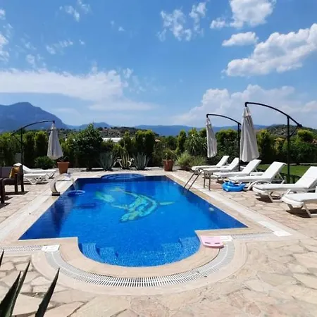 Outstanding House With Orchard And Private Pool In Ortaca, Mugla
